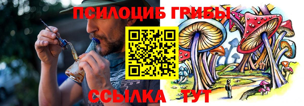 Галлюциногенные грибы Cubensis Славгород